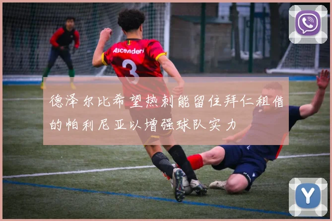 德泽尔比希望热刺能留住拜仁租借的帕利尼亚以增强球队实力