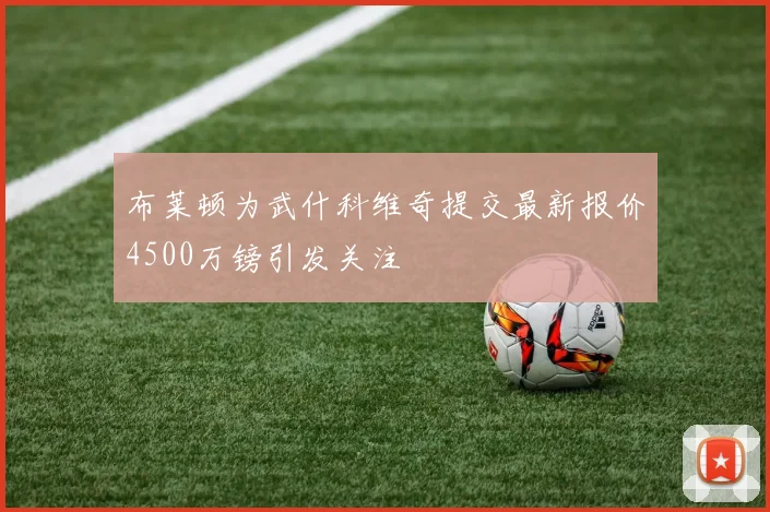 布莱顿为武什科维奇提交最新报价4500万镑引发关注