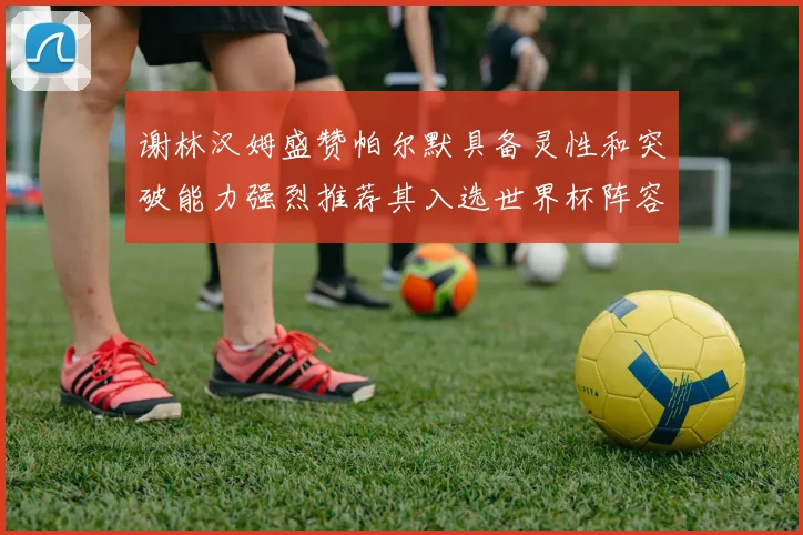 谢林汉姆盛赞帕尔默具备灵性和突破能力强烈推荐其入选世界杯阵容